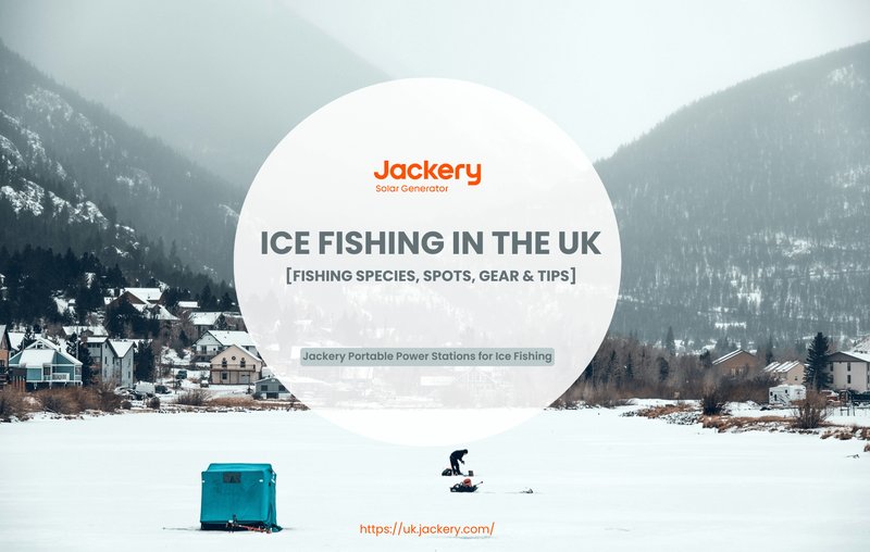 Ice fishing live, ice fishing gambling Ice fishing live, ice fishing gambling